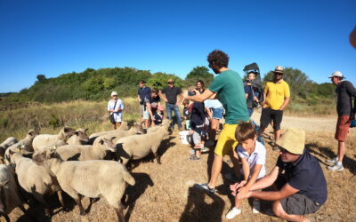 Le 5/8/2024, visite avec l’éleveur de moutons Maurice Brosseau sur les marais salants